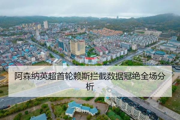 a-sen-na-ying-chao-shou-lun-lai-si-lan-jie-shu-ju-guan-jue-quan-chang-fen-xi-2-533.jpg