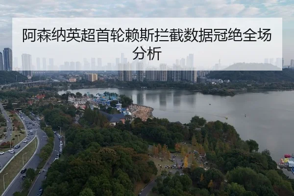 a-sen-na-ying-chao-shou-lun-lai-si-lan-jie-shu-ju-guan-jue-quan-chang-fen-xi-3-506.jpg