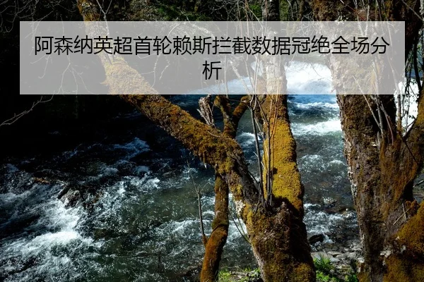 阿森纳英超首轮赖斯拦截数据冠绝全场分析
