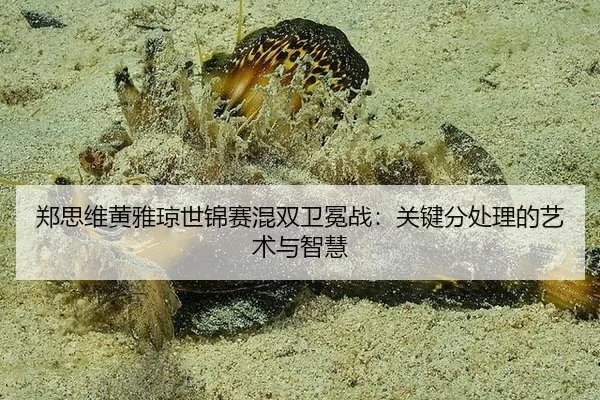 zheng-si-wei-huang-ya-qiong-shi-jin-sai-hun-shuang-wei-mian-zhan-guan-jian-fen-chu-li-de-yi-shu-yu-zhi-hui-3-510.jpg