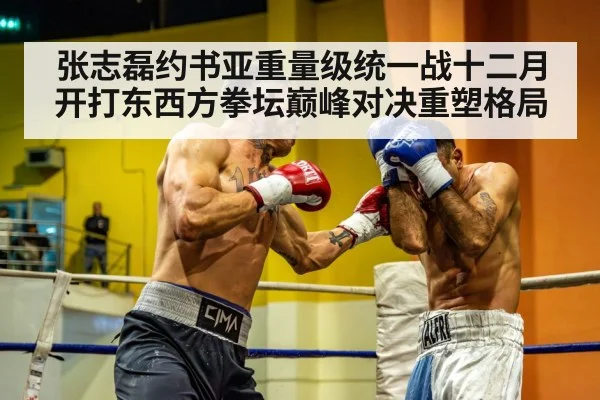 heavyweight boxing unification match