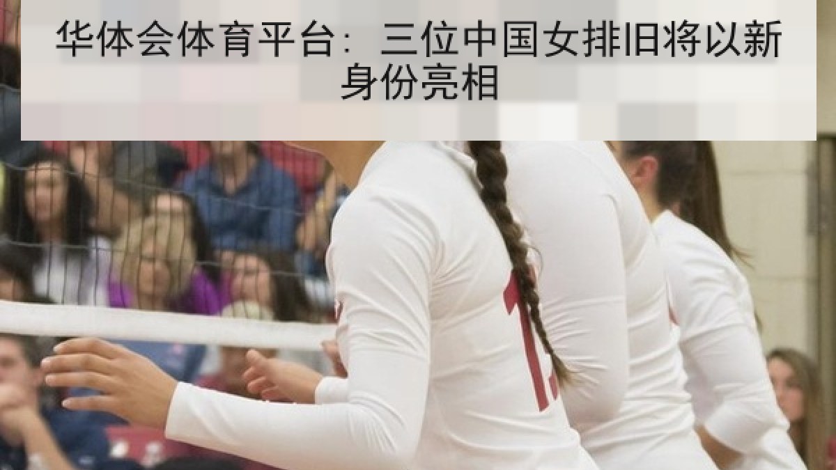华体会体育平台: 三位中国女排旧将以新身份亮相